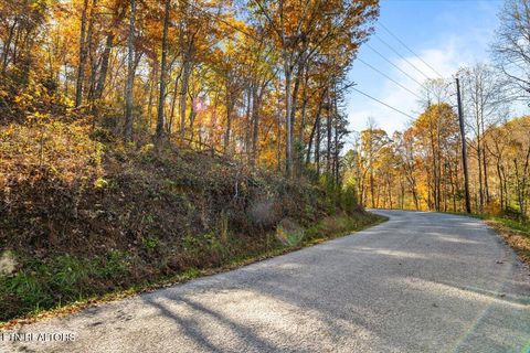 Tiny photo for 1 E Dogwood Tr, LaFollette, TN 37766 (MLS # 1346774)