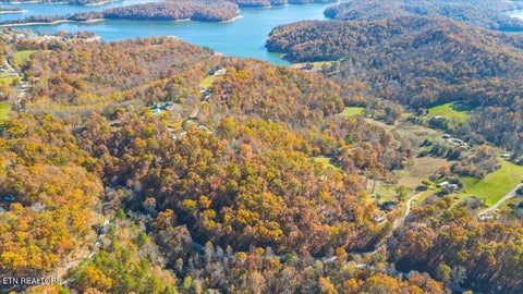 Tiny photo for 1 E Dogwood Tr, LaFollette, TN 37766 (MLS # 1346774)