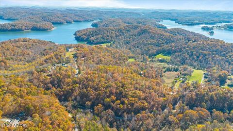 Tiny photo for 1 E Dogwood Tr, LaFollette, TN 37766 (MLS # 1346774)