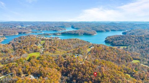 Photo of 1 E Dogwood Tr, LaFollette, TN 37766 (MLS # 1346774)