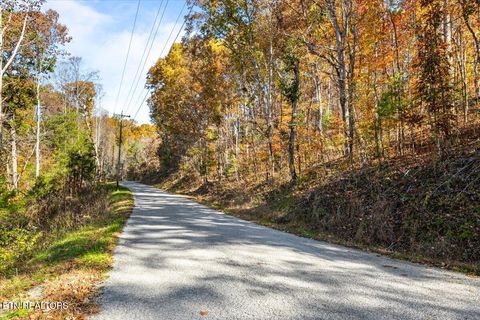 Tiny photo for 1 E Dogwood Tr, LaFollette, TN 37766 (MLS # 1346774)