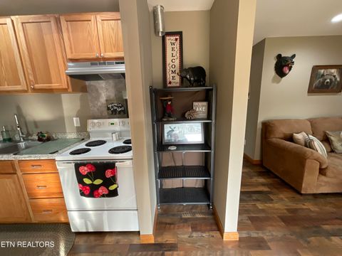 Tiny photo for 155 Broyles Rd, Spring City, TN 37381 (MLS # 1333756)