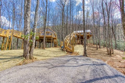 3517 Cove Mountain Rd Sevierville TN 37862
