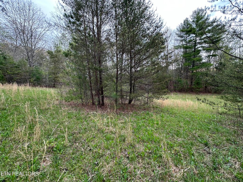 Photo of 000 Epperson Rd, Tellico Plains, TN 37385 (MLS # 1260396)