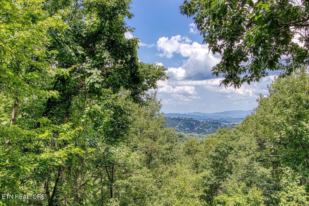 Photo of 1651 Arbon Court, Gatlinburg, TN 37738 (MLS # 1346650)