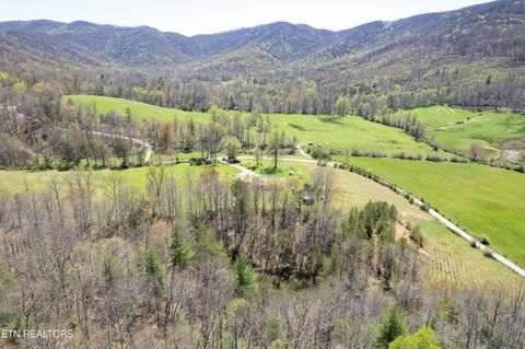 Tiny photo for 181 Mullins Lane Ln, Sunbright, TN 37872 (MLS # 1319909)