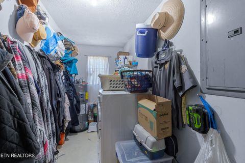 Tiny photo for 181 Mullins Lane Ln, Sunbright, TN 37872 (MLS # 1319909)