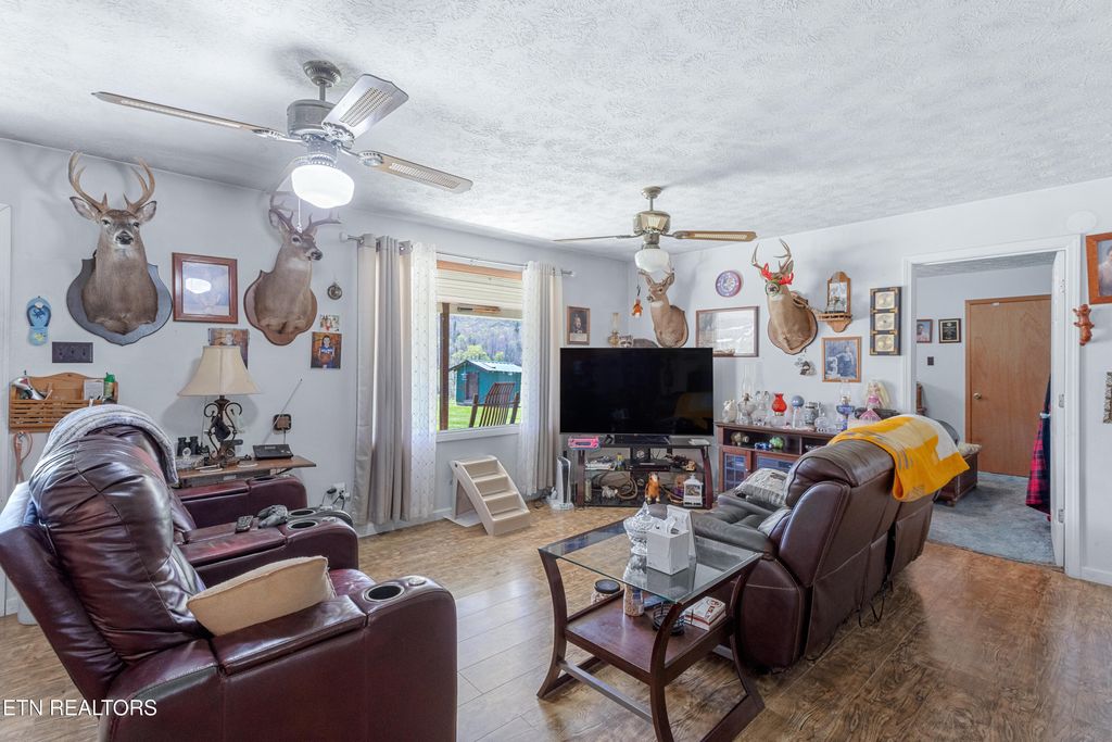 Photo of 181 Mullins Lane Ln, Sunbright, TN 37872 (MLS # 1319909)
