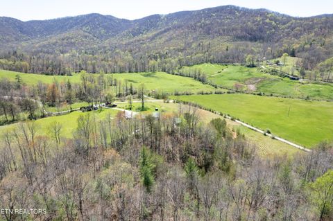 Tiny photo for 181 Mullins Lane Ln, Sunbright, TN 37872 (MLS # 1319909)