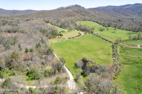 Tiny photo for 181 Mullins Lane Ln, Sunbright, TN 37872 (MLS # 1319909)