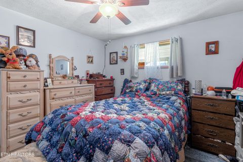 Tiny photo for 181 Mullins Lane Ln, Sunbright, TN 37872 (MLS # 1319909)