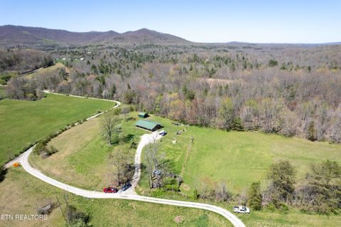 Tiny photo for 181 Mullins Lane Ln, Sunbright, TN 37872 (MLS # 1319909)