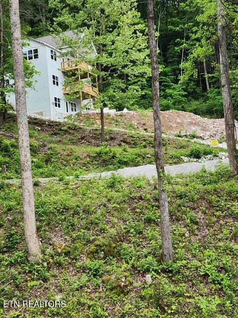 176 Flat Hollow Marina Rd