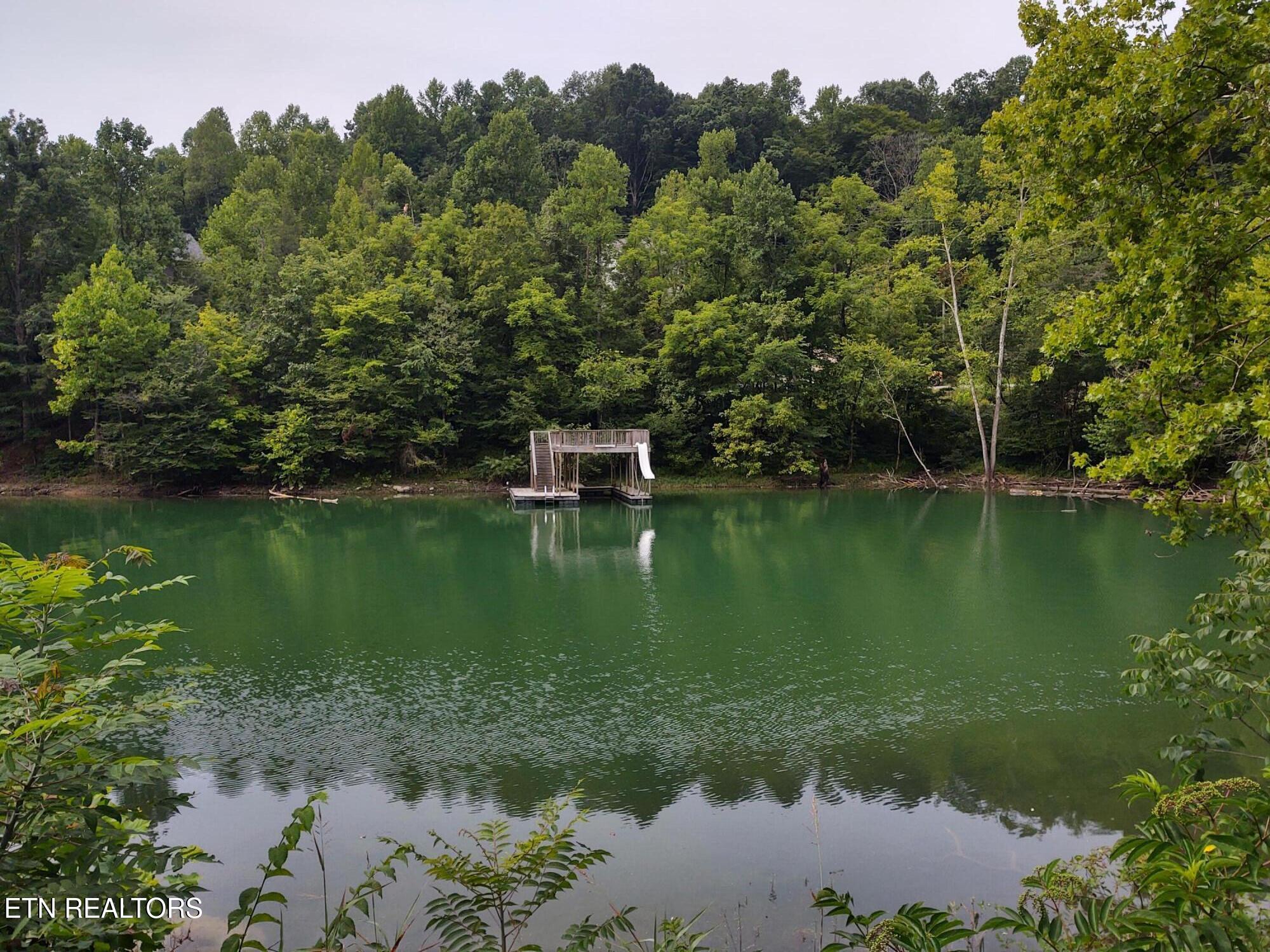 176 Flat Hollow Marina Rd