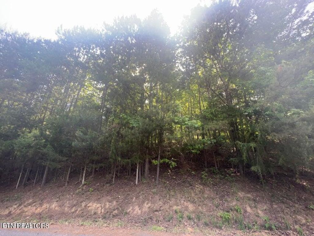 Photo of 123 Hilty Head Lane, LaFollette, TN 37766 (MLS # 1343686)