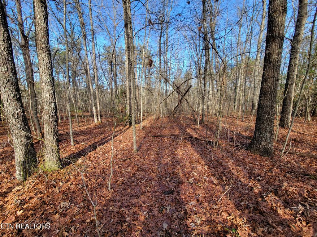 Photo of 30 Laurel Loop, Monterey, TN 38574 (MLS # 1329744)