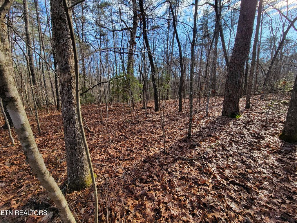 Photo of 30 Laurel Loop, Monterey, TN 38574 (MLS # 1329744)