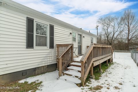 Tiny photo for 633 Shamrock Ave, Knoxville, TN 37917 (MLS # 1328782)