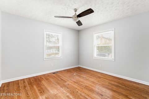 Tiny photo for 633 Shamrock Ave, Knoxville, TN 37917 (MLS # 1328782)