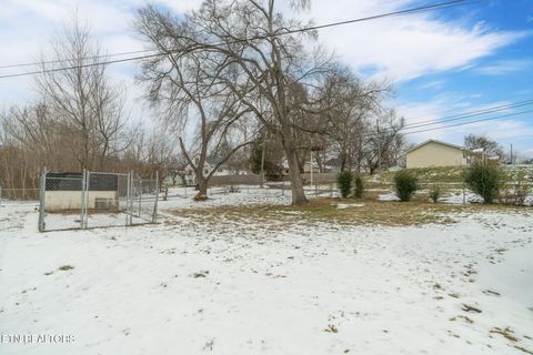 Tiny photo for 633 Shamrock Ave, Knoxville, TN 37917 (MLS # 1328782)