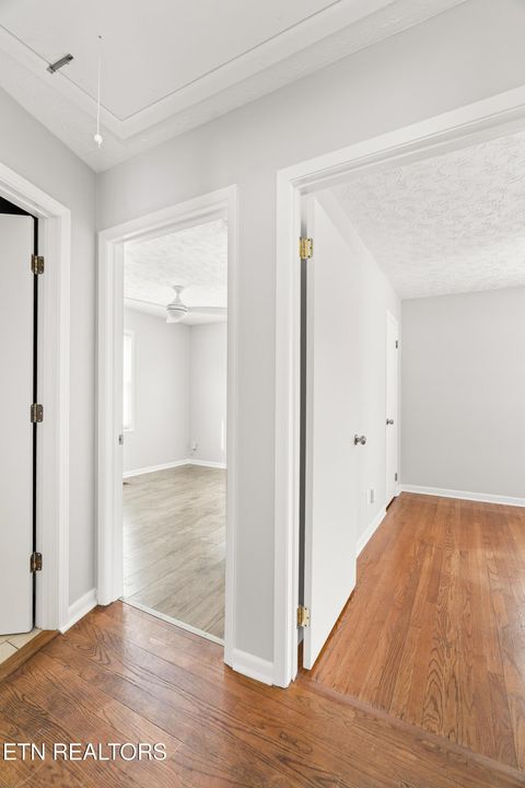 Tiny photo for 633 Shamrock Ave, Knoxville, TN 37917 (MLS # 1328782)