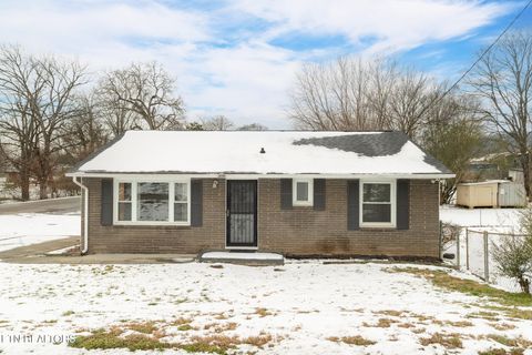 Photo of 633 Shamrock Ave, Knoxville, TN 37917 (MLS # 1328782)