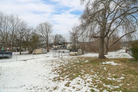 Tiny photo for 633 Shamrock Ave, Knoxville, TN 37917 (MLS # 1328782)