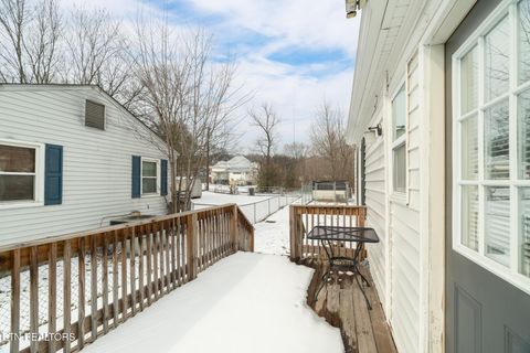 Tiny photo for 633 Shamrock Ave, Knoxville, TN 37917 (MLS # 1328782)