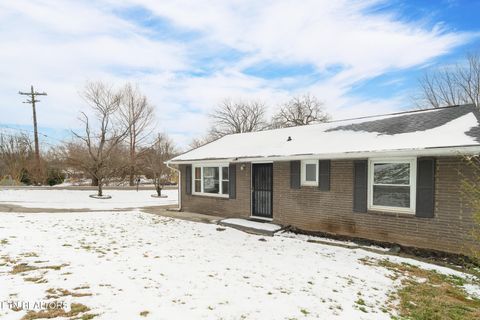 Tiny photo for 633 Shamrock Ave, Knoxville, TN 37917 (MLS # 1328782)