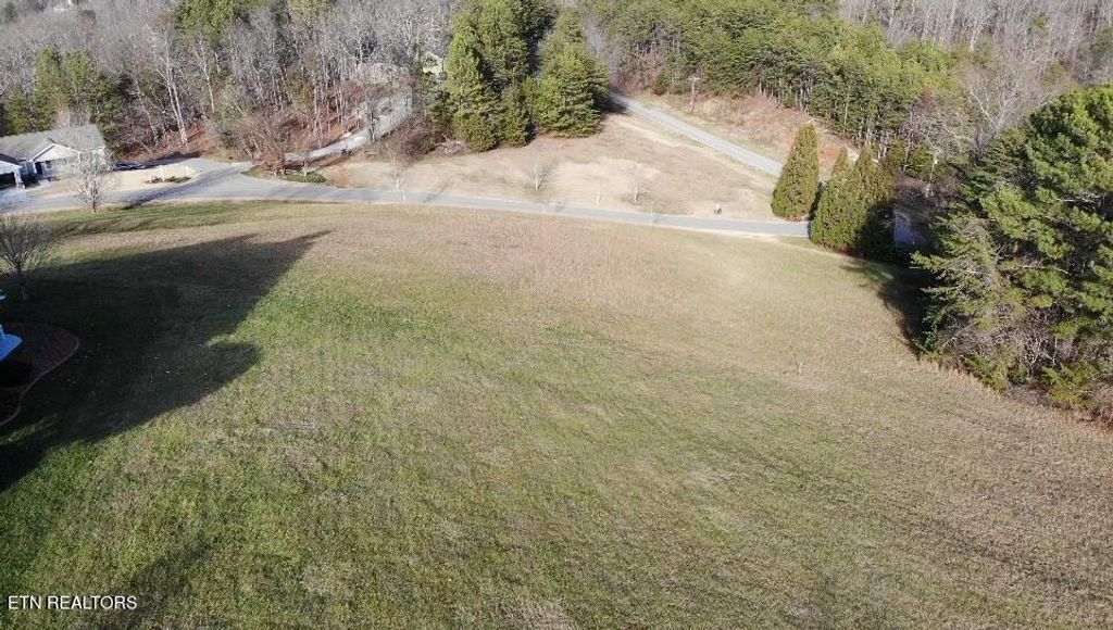 Photo of 160 Pointe Summit Drive, Greenback, TN 37742 (MLS # 1289250)
