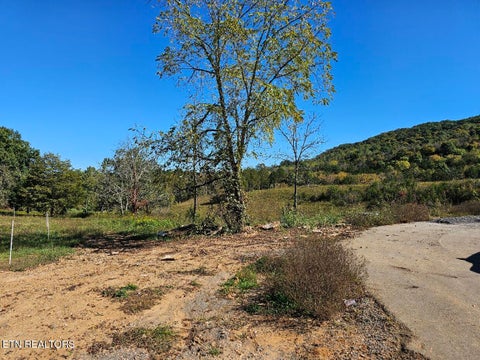 Tiny photo for Shoreline Vista, Sharps Chapel, TN 37866 (MLS # 1344341)