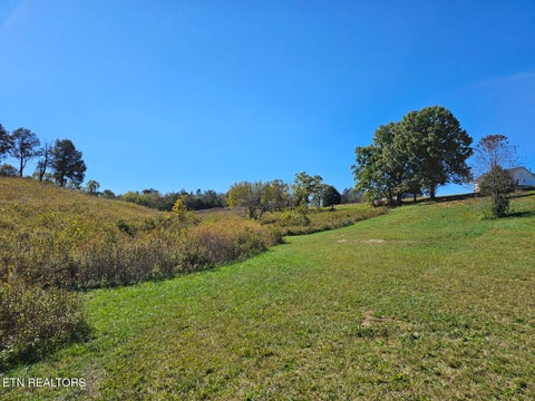 Tiny photo for Shoreline Vista, Sharps Chapel, TN 37866 (MLS # 1344341)