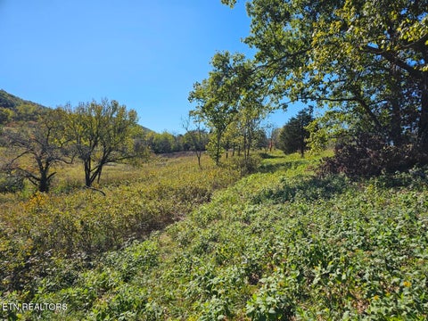 Tiny photo for Shoreline Vista, Sharps Chapel, TN 37866 (MLS # 1344341)