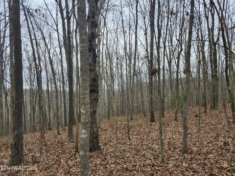 Tiny photo for Peacock Lane, Deer Lodge, TN 37726 (MLS # 1326976)
