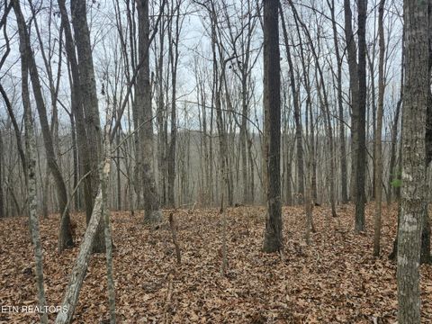Tiny photo for Peacock Lane, Deer Lodge, TN 37726 (MLS # 1326976)