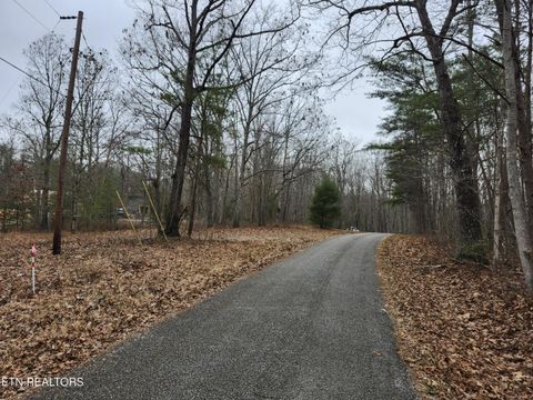 Tiny photo for Peacock Lane, Deer Lodge, TN 37726 (MLS # 1326976)