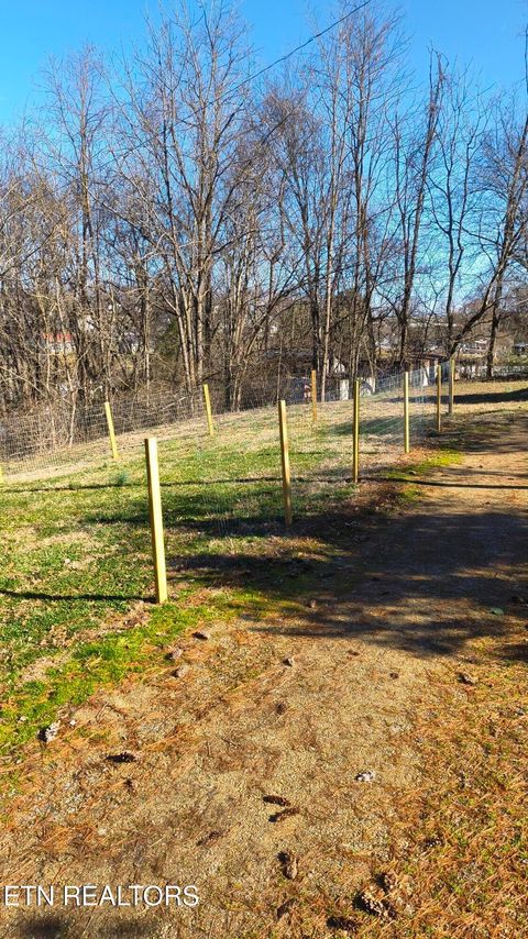 Tiny photo for 827 Seabrook St, Newport, TN 37821 (MLS # 1325164)