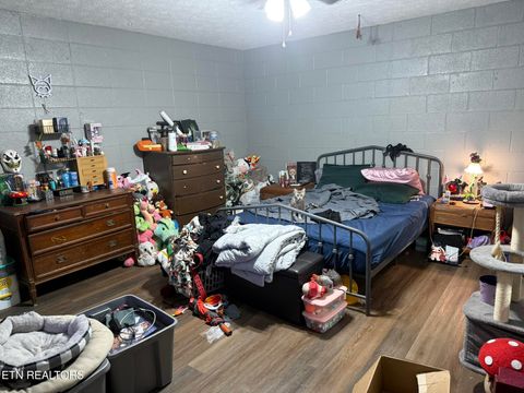 Tiny photo for 1215 Shields Ferry Rd, Morristown, TN 37814 (MLS # 1317448)