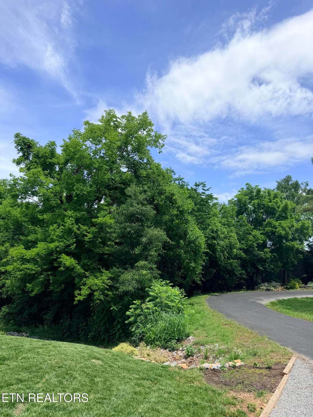 Photo of 112 Alichanoska Lane, Loudon, TN 37774 (MLS # 1343288)