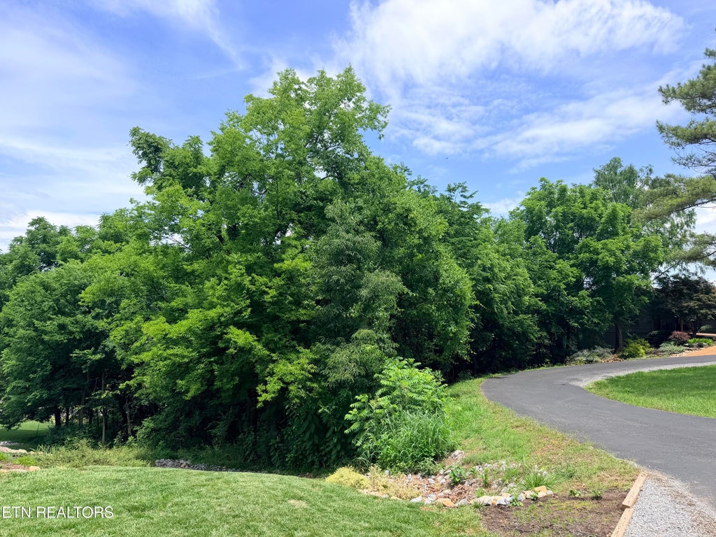 Photo of 112 Alichanoska Lane, Loudon, TN 37774 (MLS # 1343288)