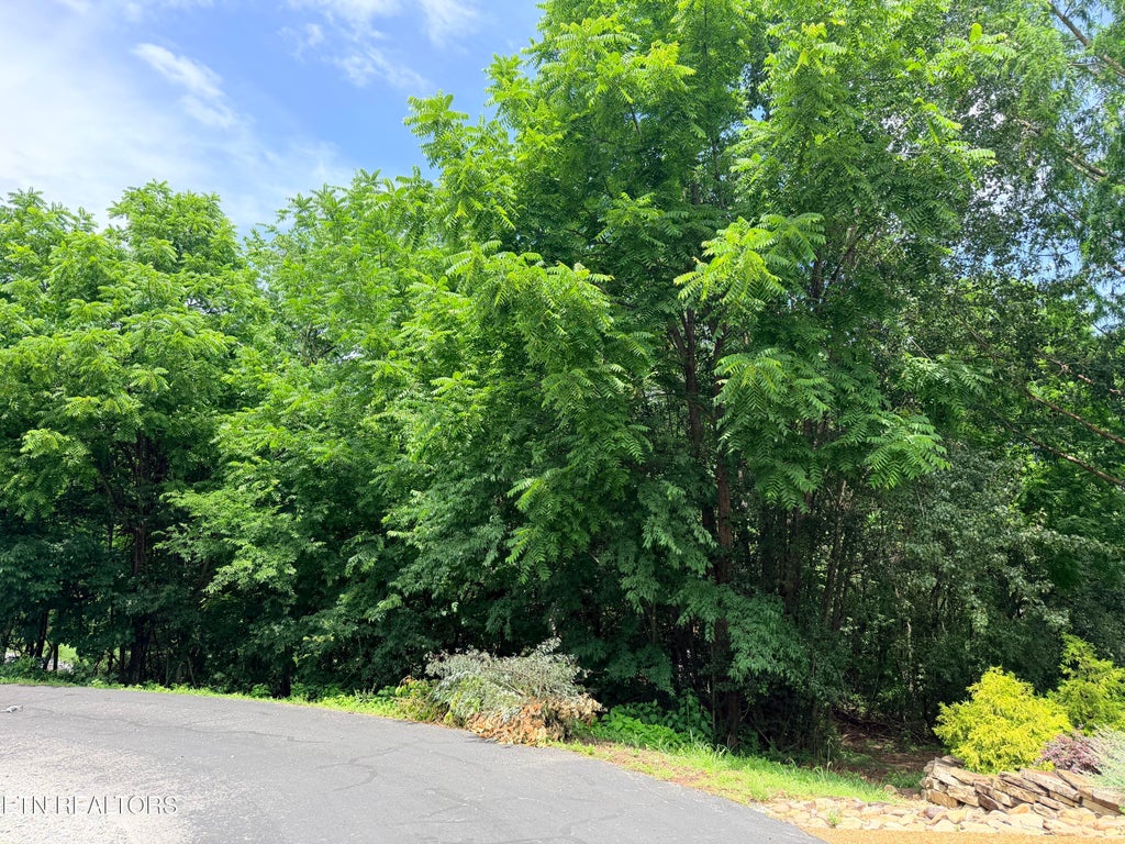 Photo of 112 Alichanoska Lane, Loudon, TN 37774 (MLS # 1343288)