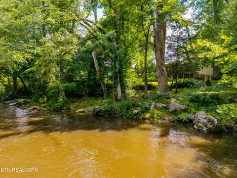 Tiny photo for 8229 E Lamar Alexander Parkway Pkwy, Townsend, TN 37882 (MLS # 1346643)
