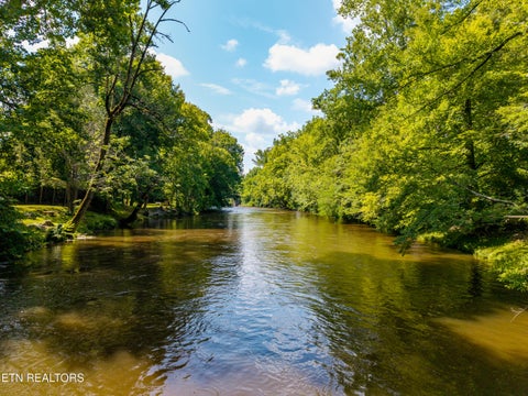 Tiny photo for 8229 E Lamar Alexander Parkway Pkwy, Townsend, TN 37882 (MLS # 1346643)