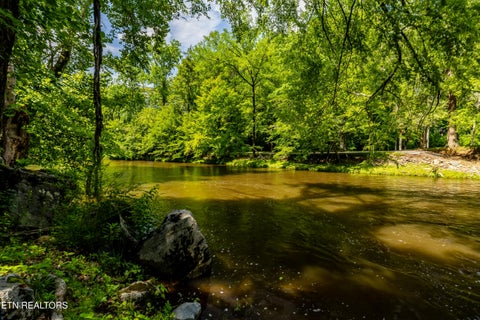 Tiny photo for 8229 E Lamar Alexander Parkway Pkwy, Townsend, TN 37882 (MLS # 1346643)