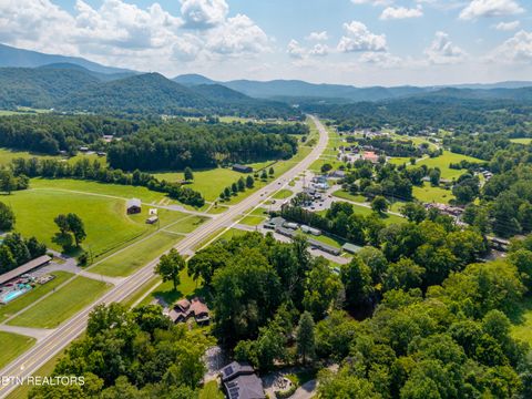 Tiny photo for 8229 E Lamar Alexander Parkway Pkwy, Townsend, TN 37882 (MLS # 1346643)