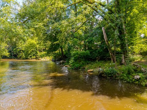 Tiny photo for 8229 E Lamar Alexander Parkway Pkwy, Townsend, TN 37882 (MLS # 1346643)