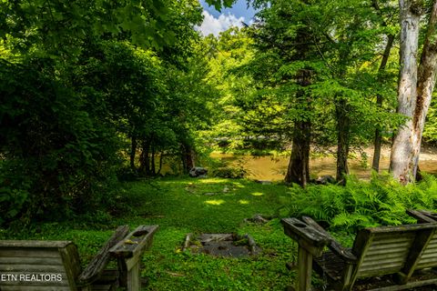 Tiny photo for 8229 E Lamar Alexander Parkway Pkwy, Townsend, TN 37882 (MLS # 1346643)