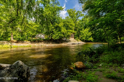 Tiny photo for 8229 E Lamar Alexander Parkway Pkwy, Townsend, TN 37882 (MLS # 1346643)