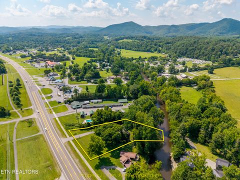 Tiny photo for 8229 E Lamar Alexander Parkway Pkwy, Townsend, TN 37882 (MLS # 1346643)