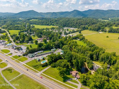 Tiny photo for 8229 E Lamar Alexander Parkway Pkwy, Townsend, TN 37882 (MLS # 1346643)